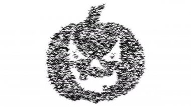 Uçan Kuşlar sürüsü kabak oluşturur. Kuşlar tarafından kurulan jack-o'-lantern.