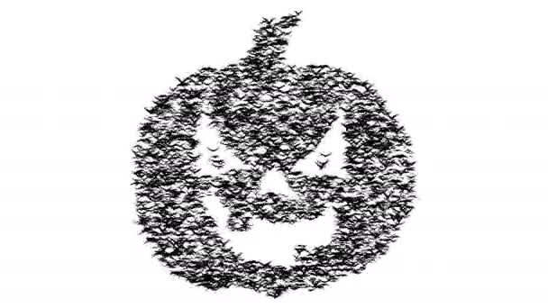 A flock of flying birds forms pumpkin. Jack-o'-lantern formed by birds. — Stock Video