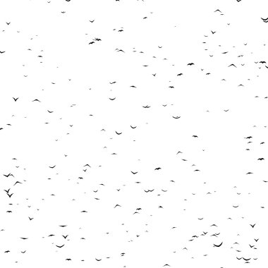 Uçan Kuşlar sürüsü kabak - timelapse, durmak devinim, gif animasyon parçası oluşturur. Kuşlar tarafından kurulan jack-o'-lantern.