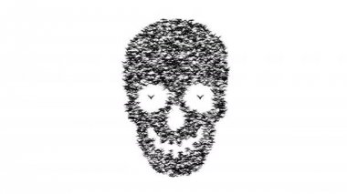 Uçan kuşlar formları kafatası bir sürü. 