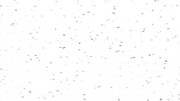 Un troupeau d'oiseaux volants forme le crâne . 