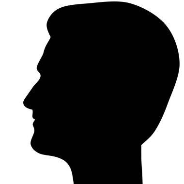 Februry 13, 2017. Edward Snowden iltica Rusya, siluet sol profili