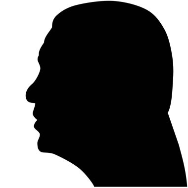 27 Şubat 2017. Türkiye, Recep Tayyip Erdoğan, siluet soyut sol profil başkanı.