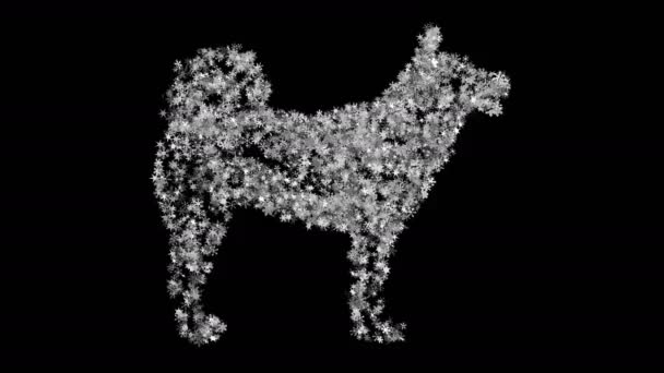 黒の背景にちらつく雪の結晶から成る犬の図面。画面モードでの使用に最適です。4 k、3840 x 2160。シンボル 2018 年。ループ動画. — ストック動画