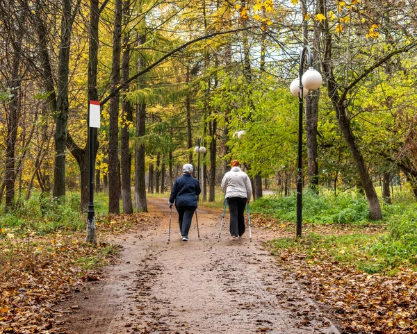 Ouderen Wandelen Samen Het Park Herfst Met Skistokken Zweeds Wandelen Stockfoto