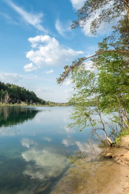 Rusya, Moskova bölgesi, Dzerzhinsky - Akşamları orman gölü. Göldeki yansıma bulutları.