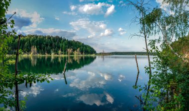 Rusya, Moskova bölgesi, Dzerzhinsky - Akşamları orman gölü. Göldeki yansıma bulutları.