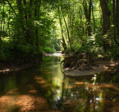 Rusya, Moskova bölgesi, orman deresi. Uzun pozlama.