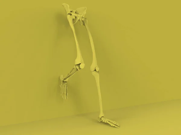 黄色の背景に人間の足や腰のモデル 3Dレンダリング — ストック写真
