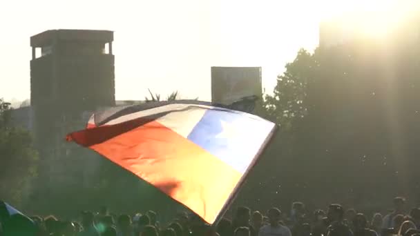 Santiago Chile January 2020 Several Protesters Raise Chilean Flag Sign — Stock Video