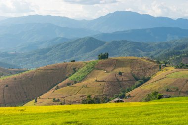 Chiang Mai pirinç Teras, Chiang Mai province