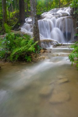 Chiang Rai eyaleti adına güzel şelale Pukang, Chian olduğunu