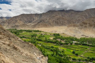 Yeşilimsi sezon Leh City, Ladakkh, Hindistan
