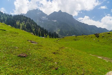Sonamarg yatay yaz, Sonamarg, Srinagar, Hindistan