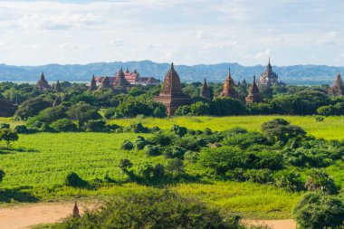 Bagan pagodadan ve Manastırı yeşilimsi sezonu, Mandalay, Myanmar