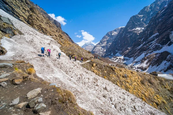 Trekkers caminata hacia el campamento base de Annapurna, Pokhara, Nepal — Foto de Stock