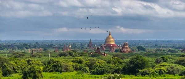 Panoramik Dhammayangyi pagoda, Landmark Bagan, mandalina