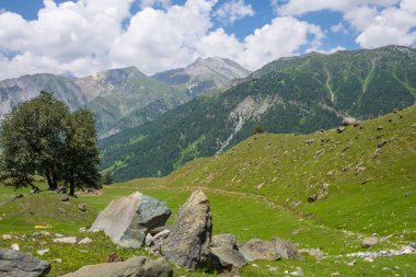 Güzel doğal manzara ve manzara Sonamarg, Srinagar, reçel