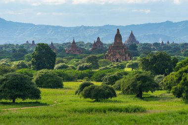 Bagan pagodadan alan yeşilimsi sezonu, Bagan antik kent, mandalina
