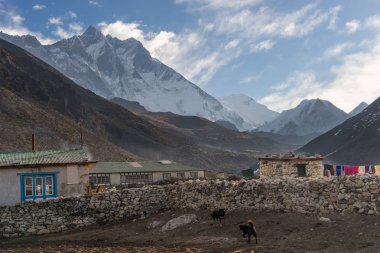 Güzel bir sabah, Everest bölgesi, Nepal Dingboche köyünde