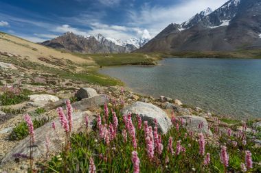 Zanskar vadi yaz, Leh, Jammu Kash güzel manzara