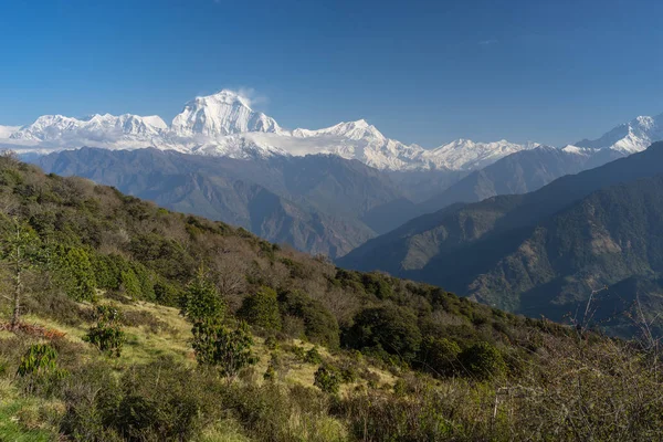 Vista del pico de la montaña de Dhaulagiri desde la aldea de Ghorepani, ABC, Pokha — Foto de Stock
