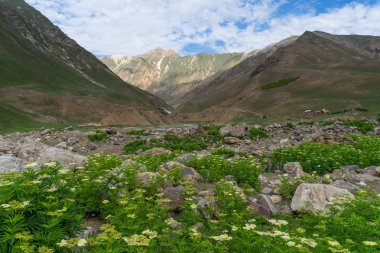 Pakistan yatay yaz sezonu, Gilgit Baltistan, Pakist