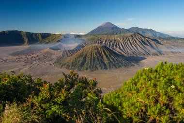 Güzel manzara Bromo yanardağ Dağı Doğu Java, Hint