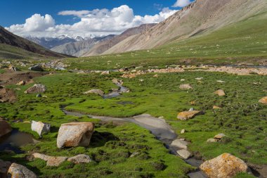 Warila geçmek yaz aylarında Leh şehirde, Leh, Ladakh, Jammu Keşmir, ben