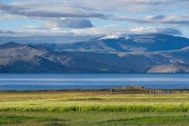 Tsomoriri Gölü yaz sezonu, Leh, Ladakh, Hindistan