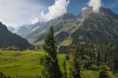 Yaz mevsiminde Sonamarg 'ın güzel manzarası, Jammu Kashmir, Ben