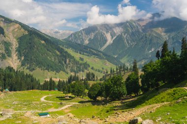 Yaz mevsiminde ya da yeşillik mevsiminde Sonamarg 'ın güzel manzarası, Jammu Kashmir, Kuzey Hindistan, Asya
