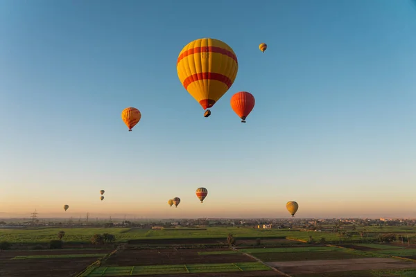 Sıcak hava balonları Lüksör şehrinin üzerinde bir sabah güneşinde, Mısır, Afrika