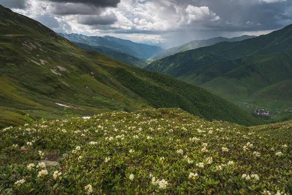 Saison Estivale Dans Village Ushguli Entouré Par Montagne Caucase Région — Photo