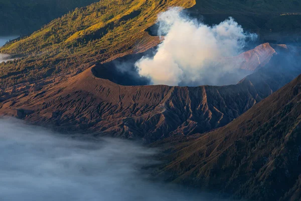 Кратер Вулкана Бромо Красивое Утро Восточная Ява Индонезии Азия — стоковое фото