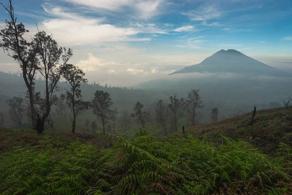 Belle Montagne Forêt Long Chemin Vers Cratère Kawah Ijen Java — Photo