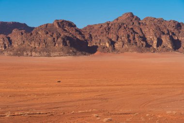 Wadi Rum Çölü, Ürdün, Arap ve Asya 'daki en ünlü kırmızı kum ve kumtaşı çölü.
