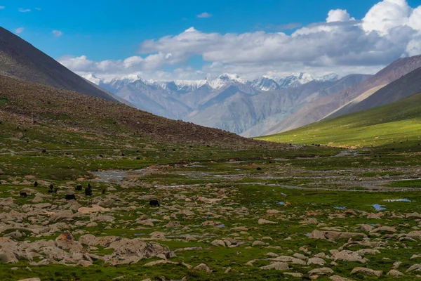 Summer Season Leh High Mountain Pass Himalaya Mountain Range North — Stock Photo, Image