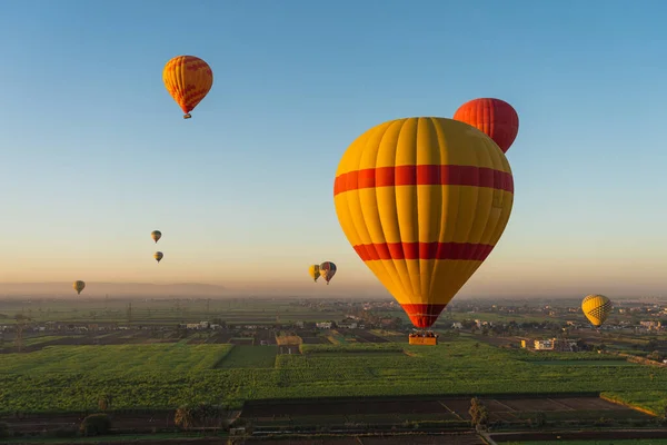 Palloncini Aria Calda Sopra Luxor Città Una Mattina Alto Egitto — Foto Stock