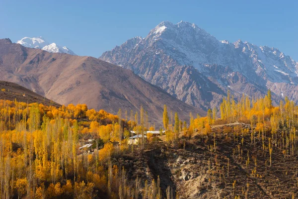 Colorida Temporada Otoño Callejón Phander Gilgit Jalá Pakistán Asia — Foto de Stock