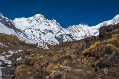 Asya, Nepal 'deki Himalaya dağları, Pokhara' daki Annapurna ana kampına giden patika.