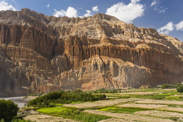 尼泊尔喜马拉雅山脉上野马地区楚桑村的红崖和荞麦稻田 — 图库照片