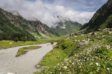 Pin Bhaba geçidindeki kamp alanı Shimla 'da, Himalaya' nın kuzey Hindistan, Asya sıradağlarında.