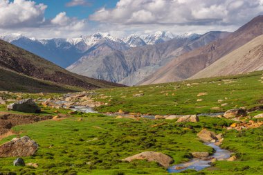 Yaz mevsiminde Wari la Pass 'ın güzel manzarası, Hindistan' da Leh, Ladakh bölgesi, Asya