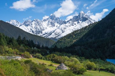 Gongga dağı ve Mugecuo ulusal parkındaki çam ağacı ormanı, Kangding, Himalaya dağları Sichuan, Çin, Asya 'da