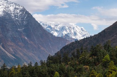 Manaslu çevresindeki kar dağları ve çam ormanı manzarası Nepal, Asya 'daki Himalaya dağları,