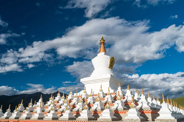 Namgyal Tallinn Traditional Tibetan Buddhist Style White Pagoda Flower Daocheng — Stock Photo, Image