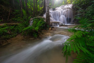 Chiang Rai bölgesindeki tropikal ormanda Pukang şelalesi, Tayland, Asya
