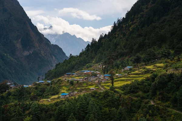 Mała Wioska Obwodzie Manaslu Otoczona Lasem Sosnowym Pasmem Gór Himalajów — Zdjęcie stockowe