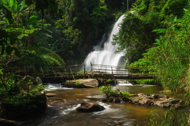 Pa Dok Siew Şelalesi Inthanon Dağı ormanında, Chiang Mai vilayetinde, Tayland, Asya